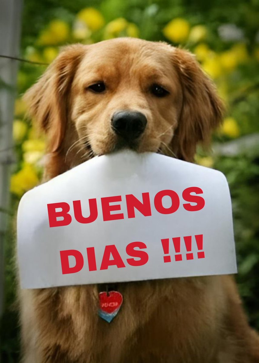 El Ordóñez 😜🤗😃👼🏻🚌 tweet media