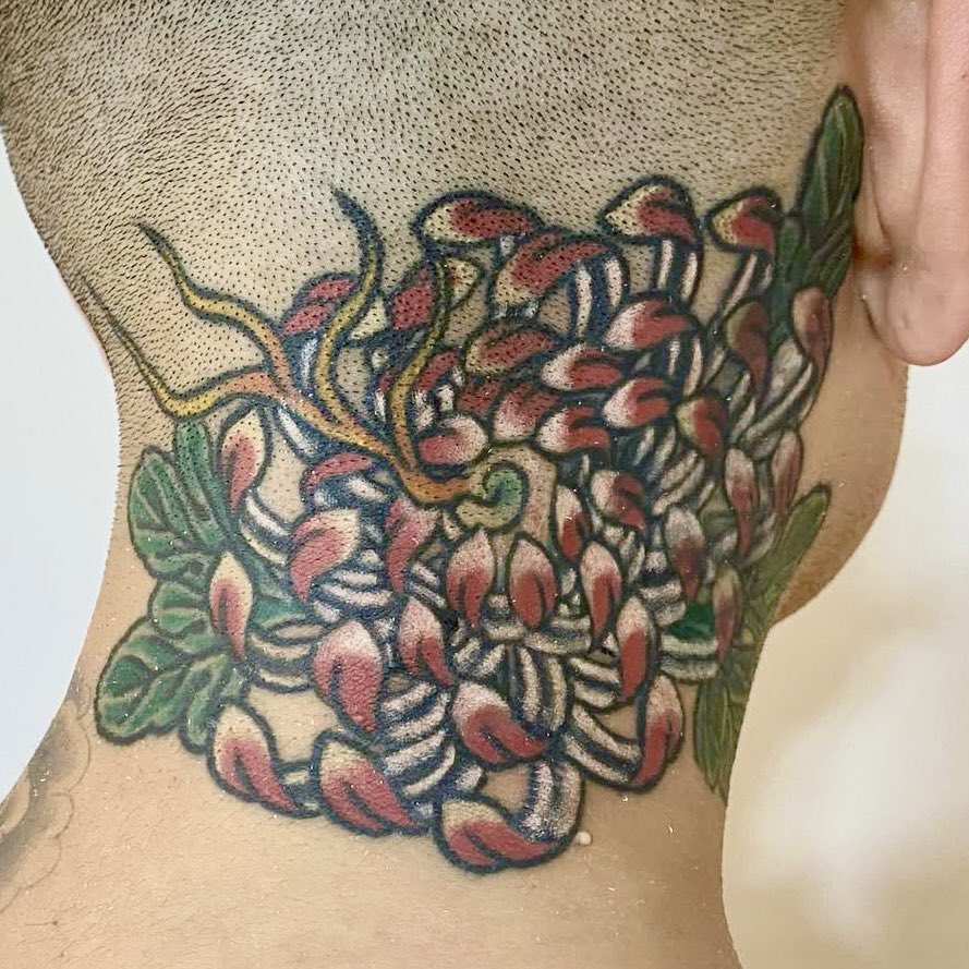 STUDIO SOKAI tweet media