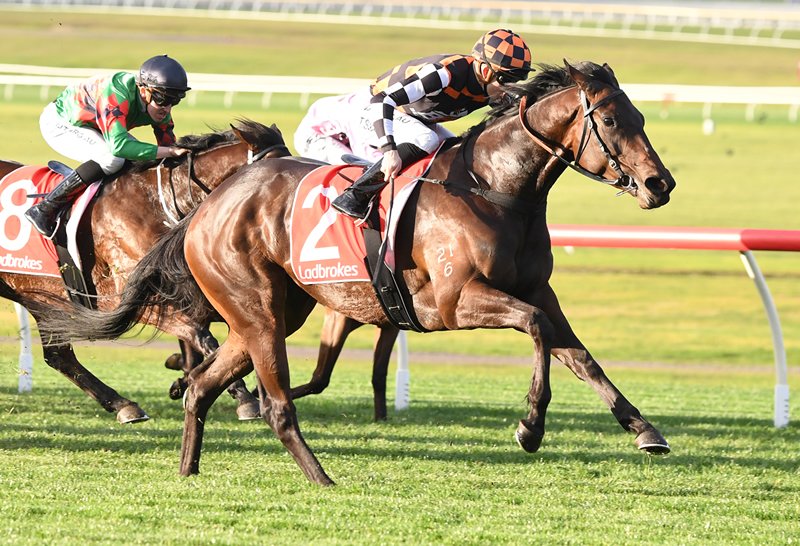 Tara Madgwick tweet media