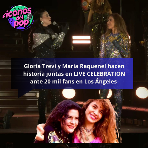 zaidth yhamel tweet media