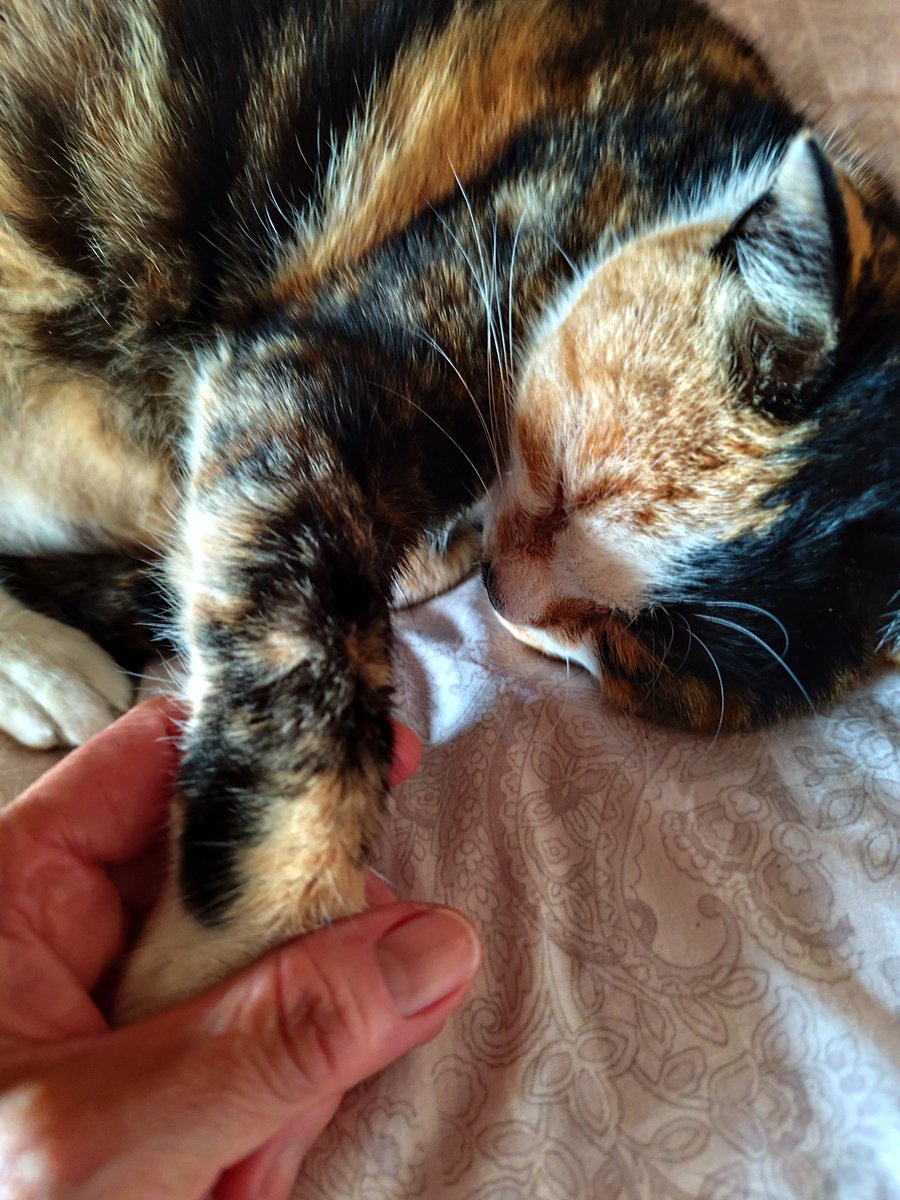 パリピア😻✨ (@NW6hX5NzGOqMVAw) / Posts / X