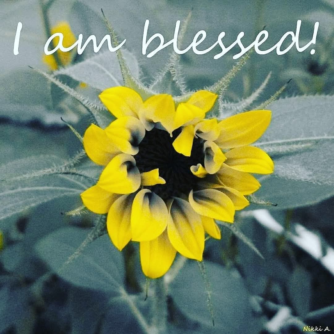 hollar4mimi's tweet photo. #MimiLife https://t.co/rIkSl8KWd7
