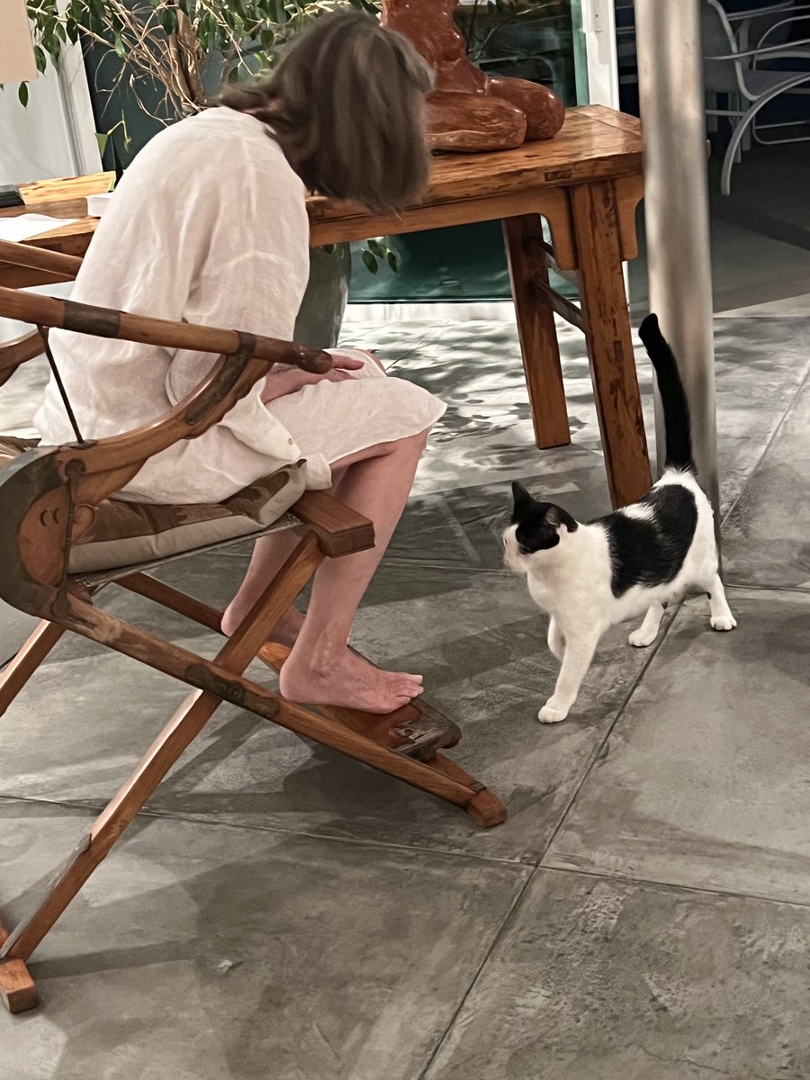 Susan Sullivan tweet media