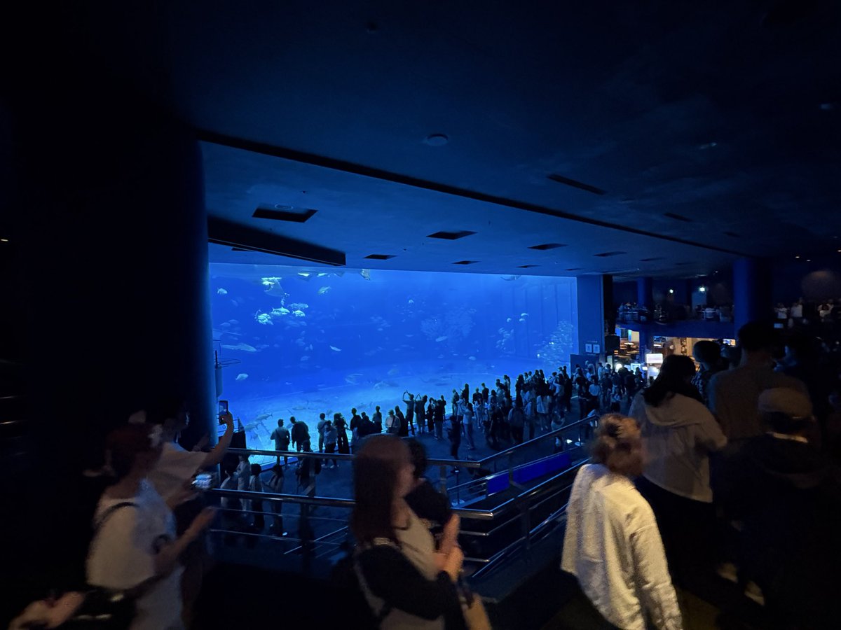 SFsxaLV's tweet photo. 美ら海水族館混みすぎわろた
平日でこれなら時間予約制にしたほうがいいんじゃないかな？ https://t.co/6ipCxakEBY