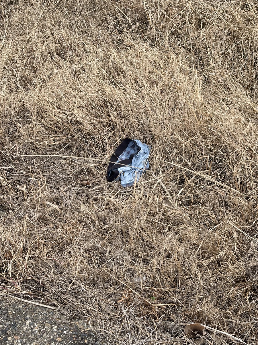 s_d_k_c's tweet photo. 怖いのでアップにして詳細確認してませんが、畑にパンツ脱ぎ捨てられてるのを見かけました。
不要な物を捨てられる⇄肥料になる
これもWin-Winの関係という事なんでしょうか。

#SDGs https://t.co/XarZyKPooR