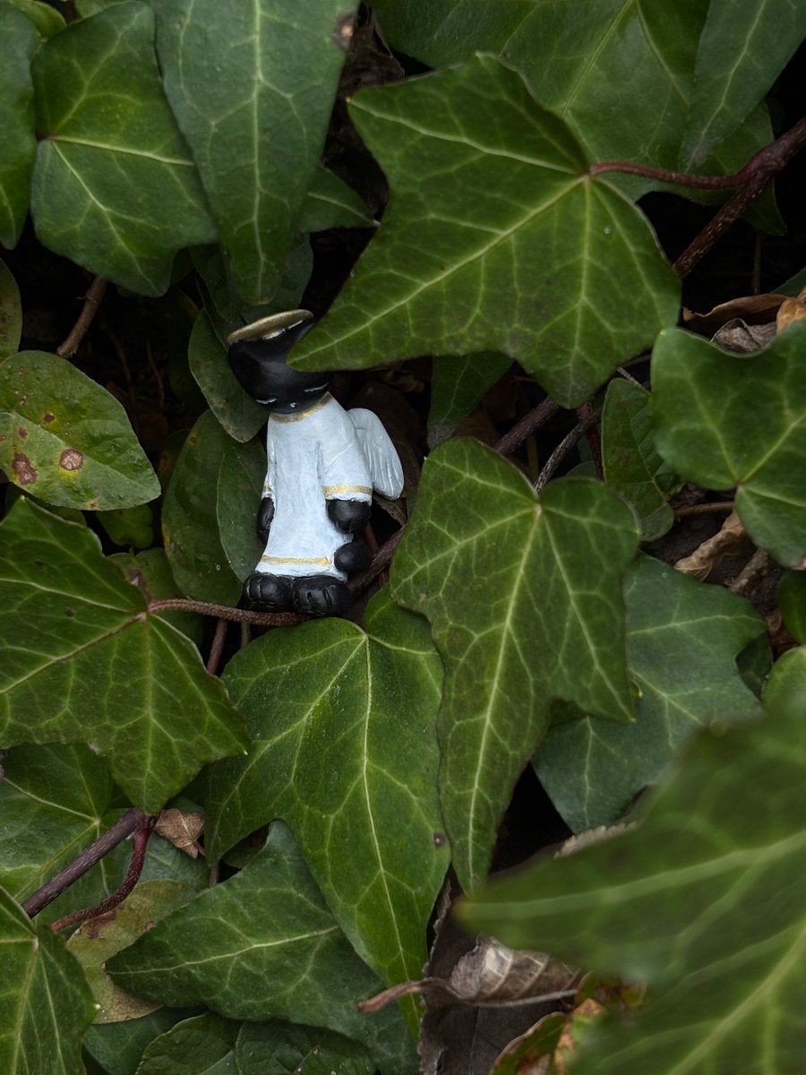 toshoneko tweet media