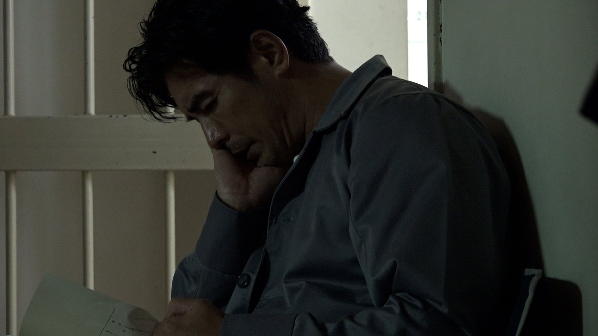 情熱大陸 tweet media