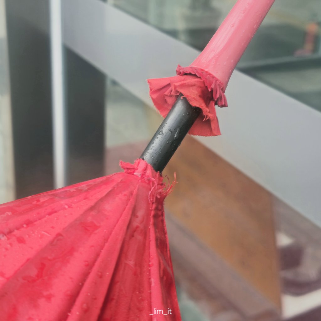 림잇 🌱 tweet media