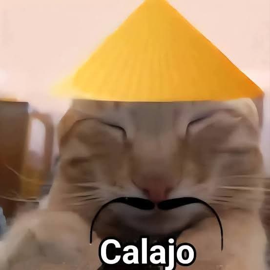 CynicalSebas's tweet photo. @PensamientosX0 Yo ví a 2 perros peleando jajsjsj https://t.co/vbNl7xfL24