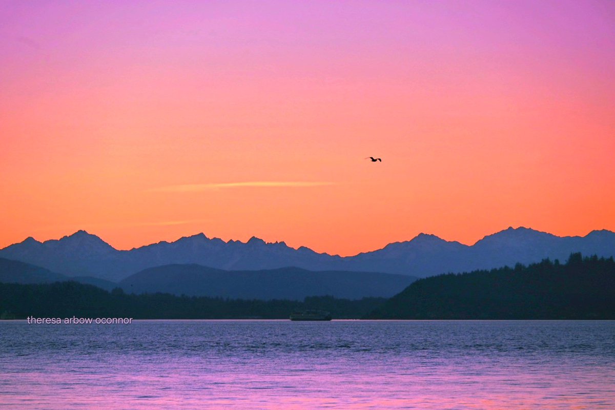 Pretty glow tonight over the Olympics ♡