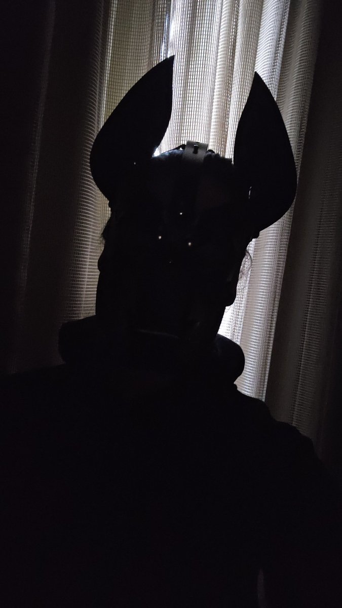 Lace 🎀 tweet media