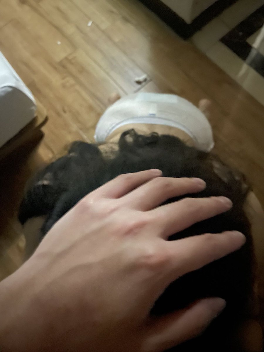 伝Master tweet media