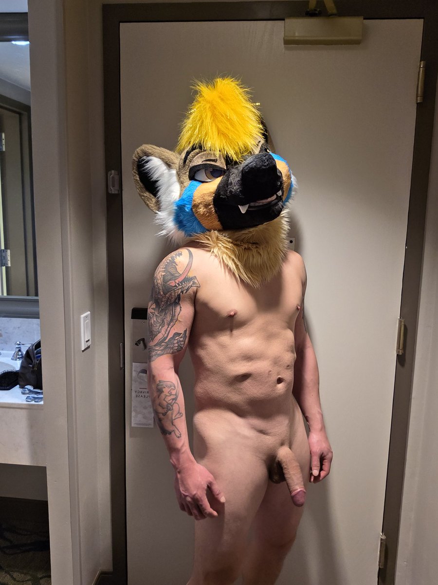 Verkis 🔜 TFF, FWA tweet media