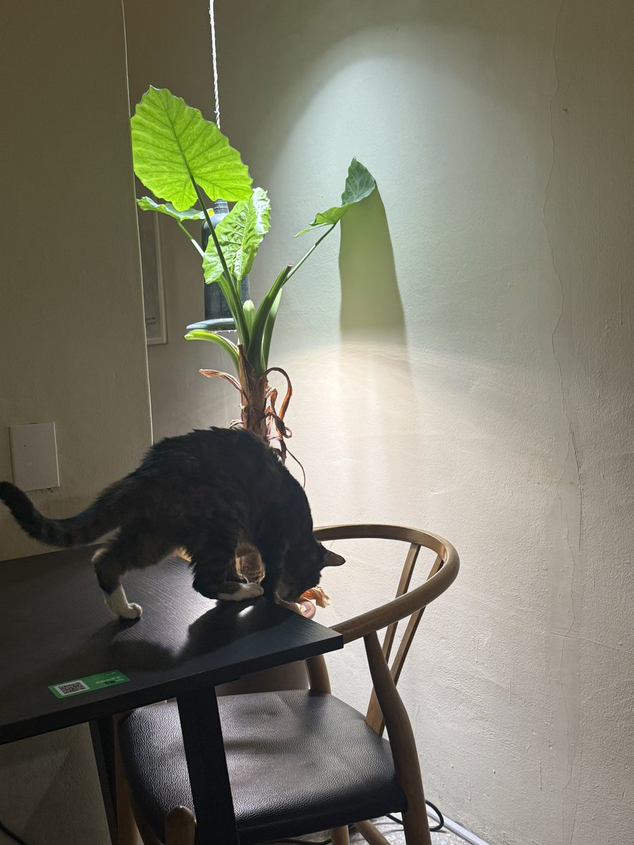 밤냥 (@bamnyang000123) on Twitter photo 