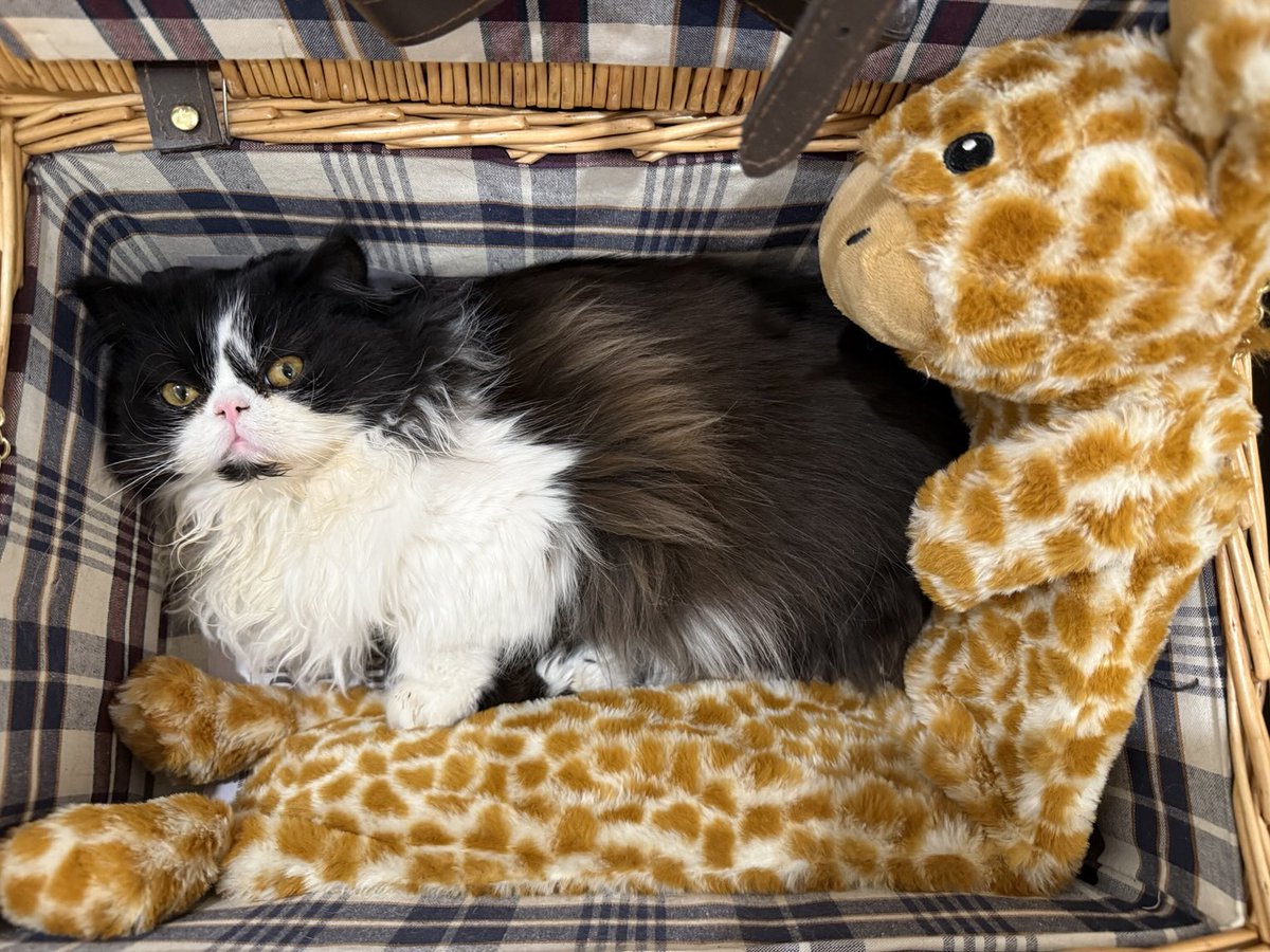 Sarah Evans tweet media