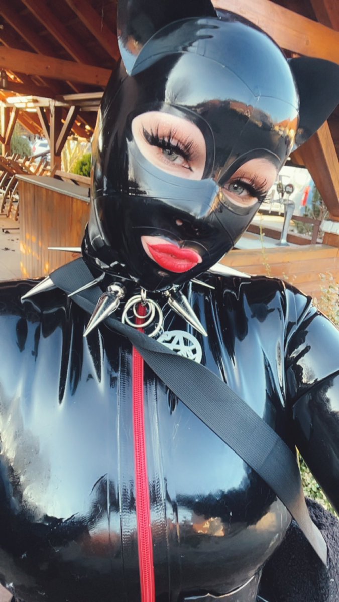 DevilynLady's tweet photo. 🐾 https://t.co/JJHQLkU1tt