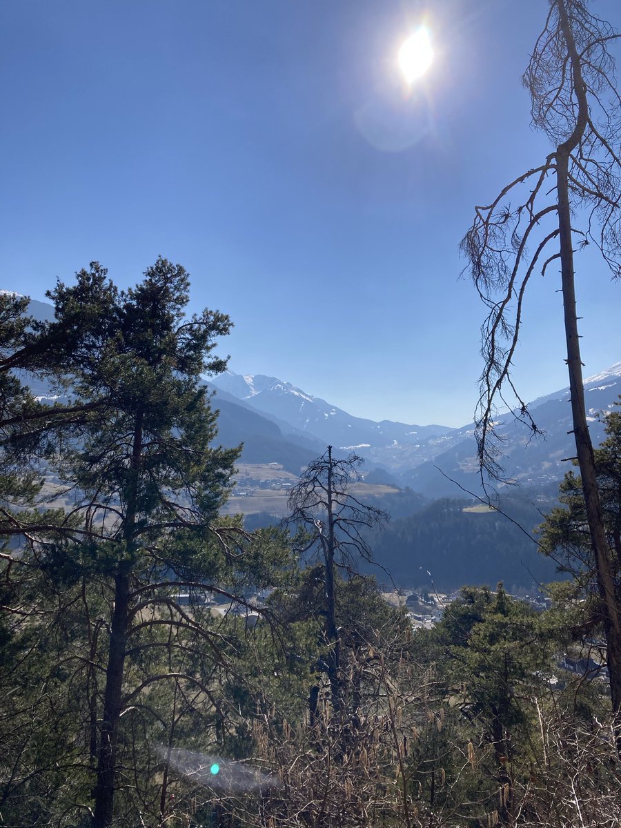 Blitzfreak⚡️🦺 tweet media