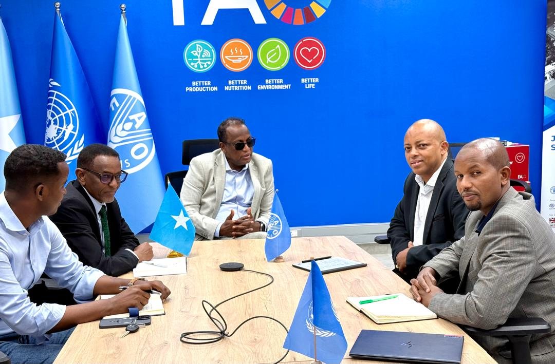 FAO in Somalia tweet media