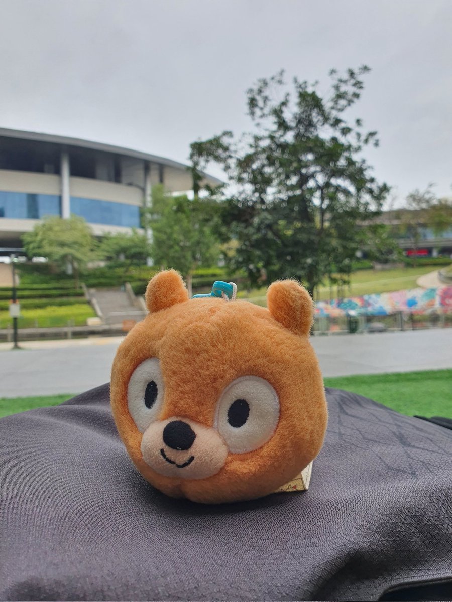 Daily Woff Migration ~○ tweet media