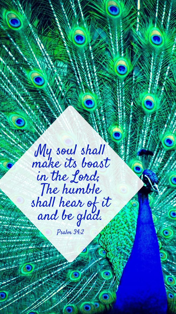 Alexandra Bracher tweet media