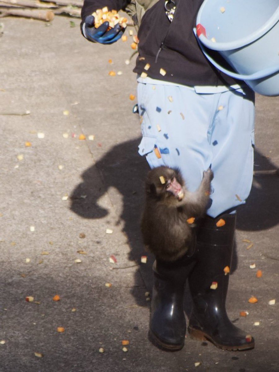 ʏᴢ (@YZfinance) / Posts / X