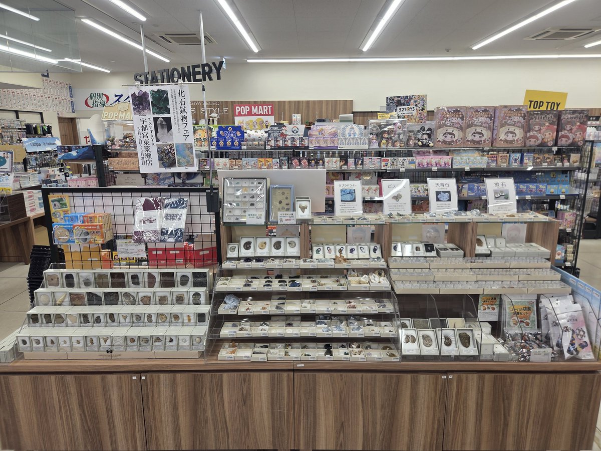 株式会社東京サイエンス tweet media