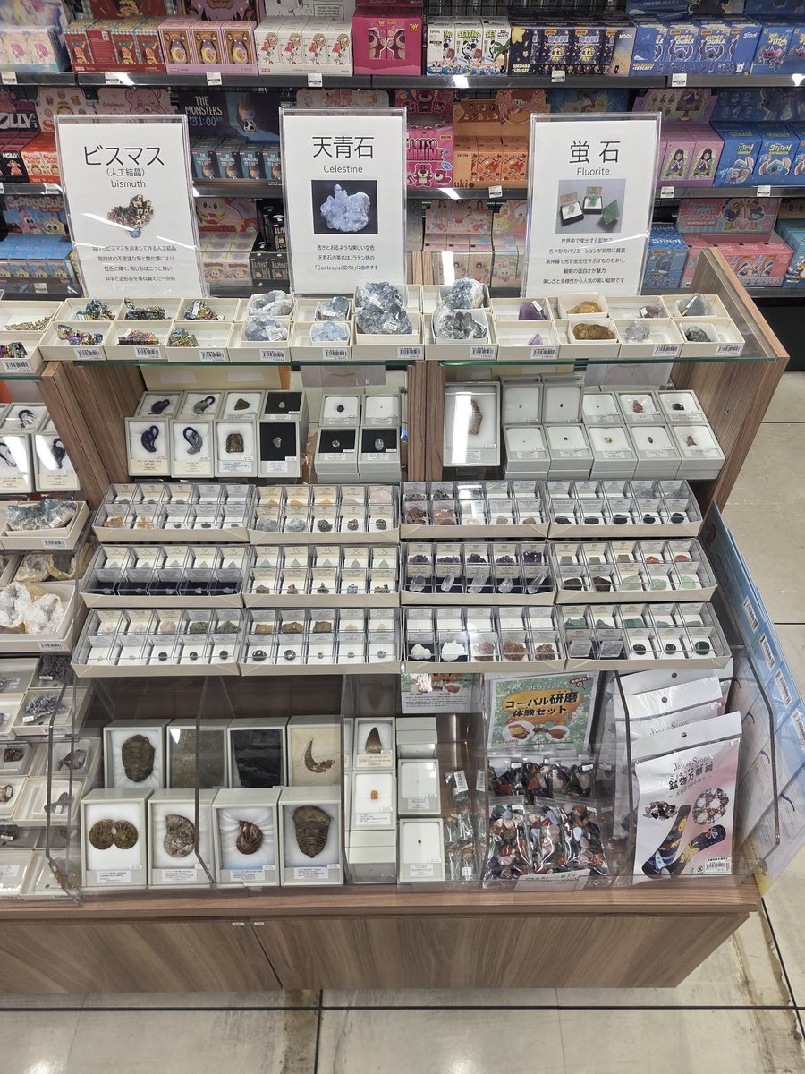 株式会社東京サイエンス tweet media