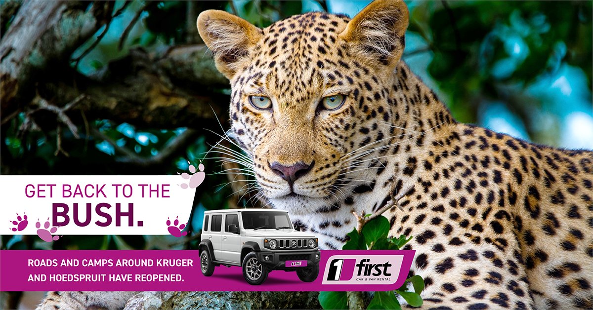 First Car Rental tweet media