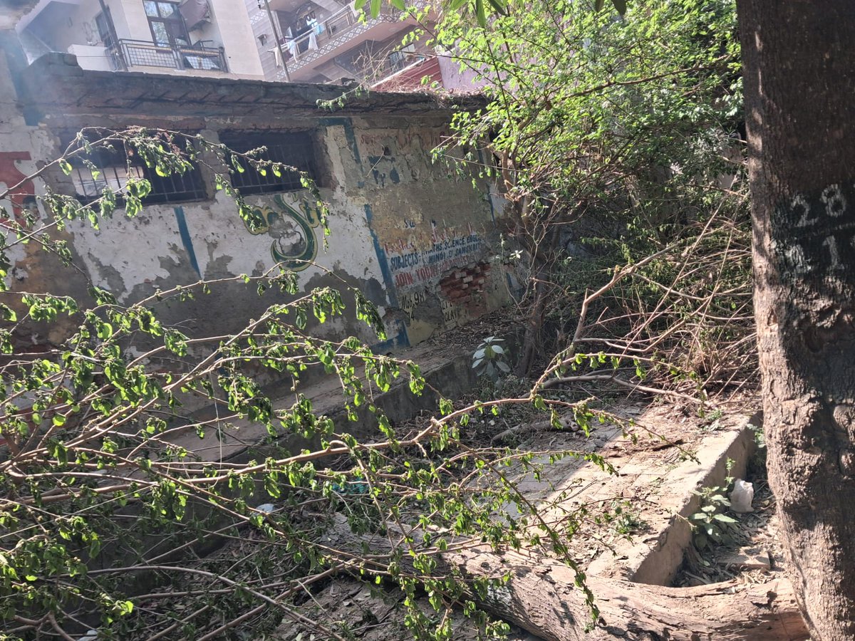 roopsvimal's tweet photo. A 30-year-old Shetoot tree situated at Park near https://t.co/iPNVf0Me3v 111 DDA Janta Flat GTB Enclave, Delhi was illegally cut to make way for unauthorized construction!  
🌳 are the lungs of our city! @LtGovDelhi 
@gupta_rekha 
@DelhiPolice
take action! https://t.co/DvNxdD8VTM
