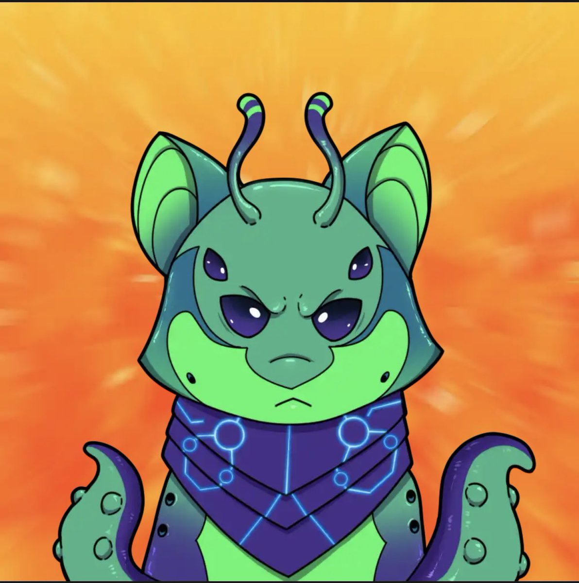 Timo🧡 tweet media