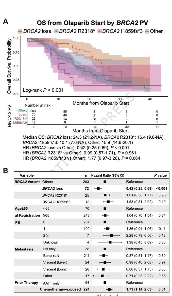 Oscar Tahuahua tweet media