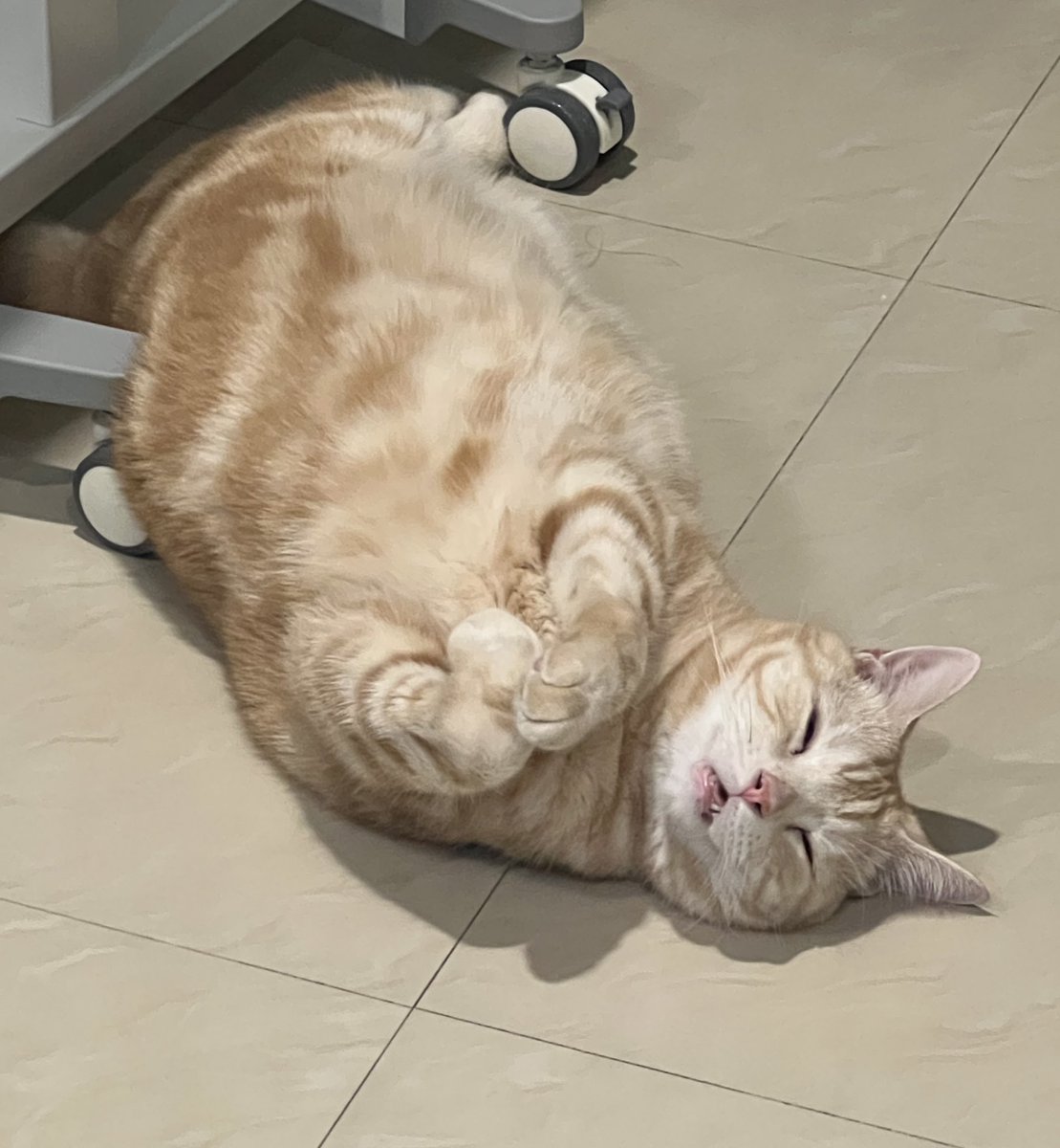 นอนแบบร้องขอวีชิต

#วันๆของต๊ะต๋า