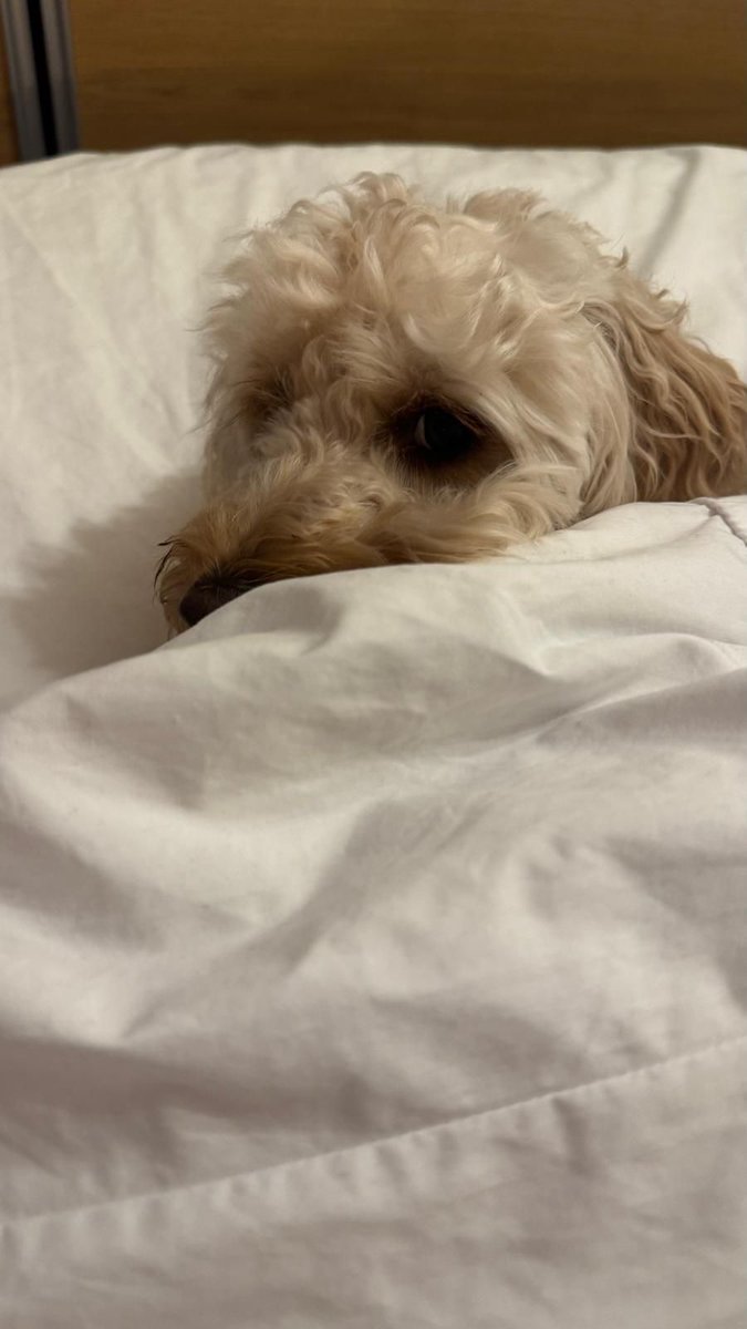 Ben Curry tweet media