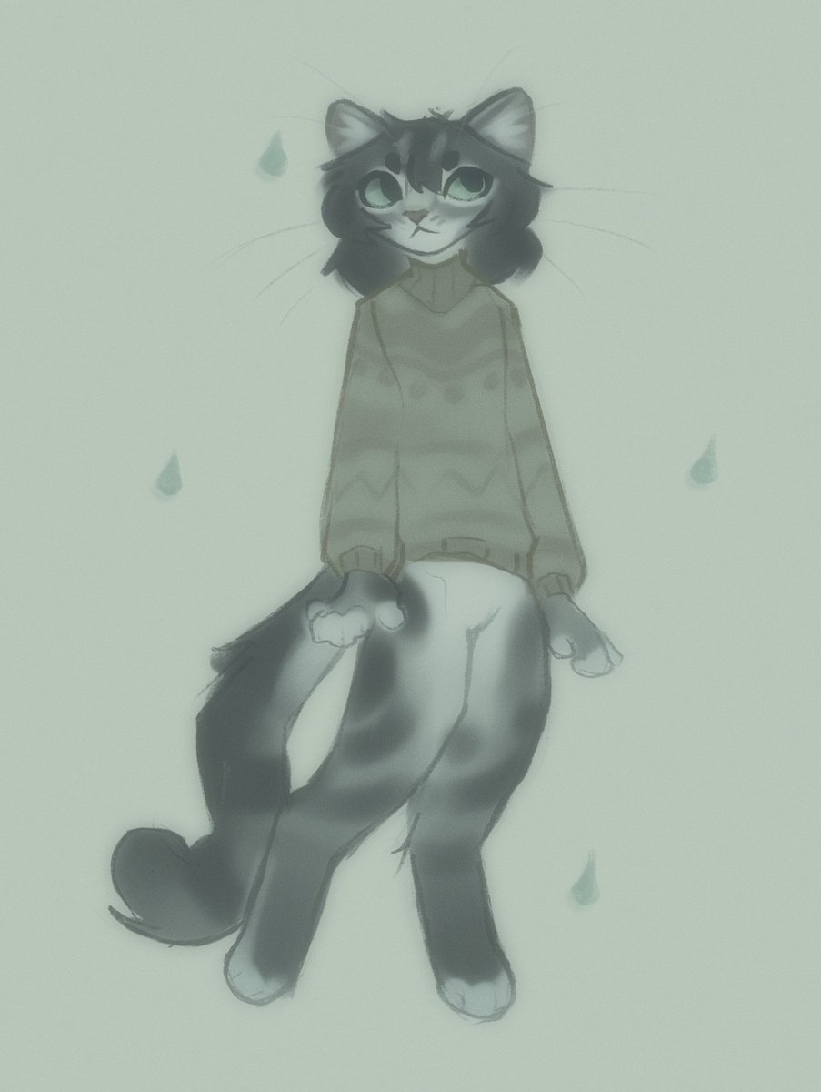 purrowan's tweet photo. gray kitty.... he has hair now https://t.co/qFog3hRceg
