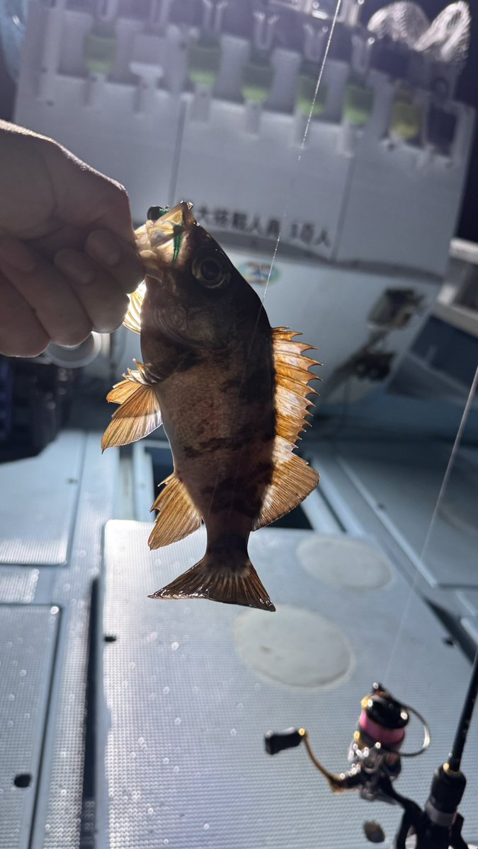 青物ﾊﾝﾀｰ:Junna🦈 tweet media