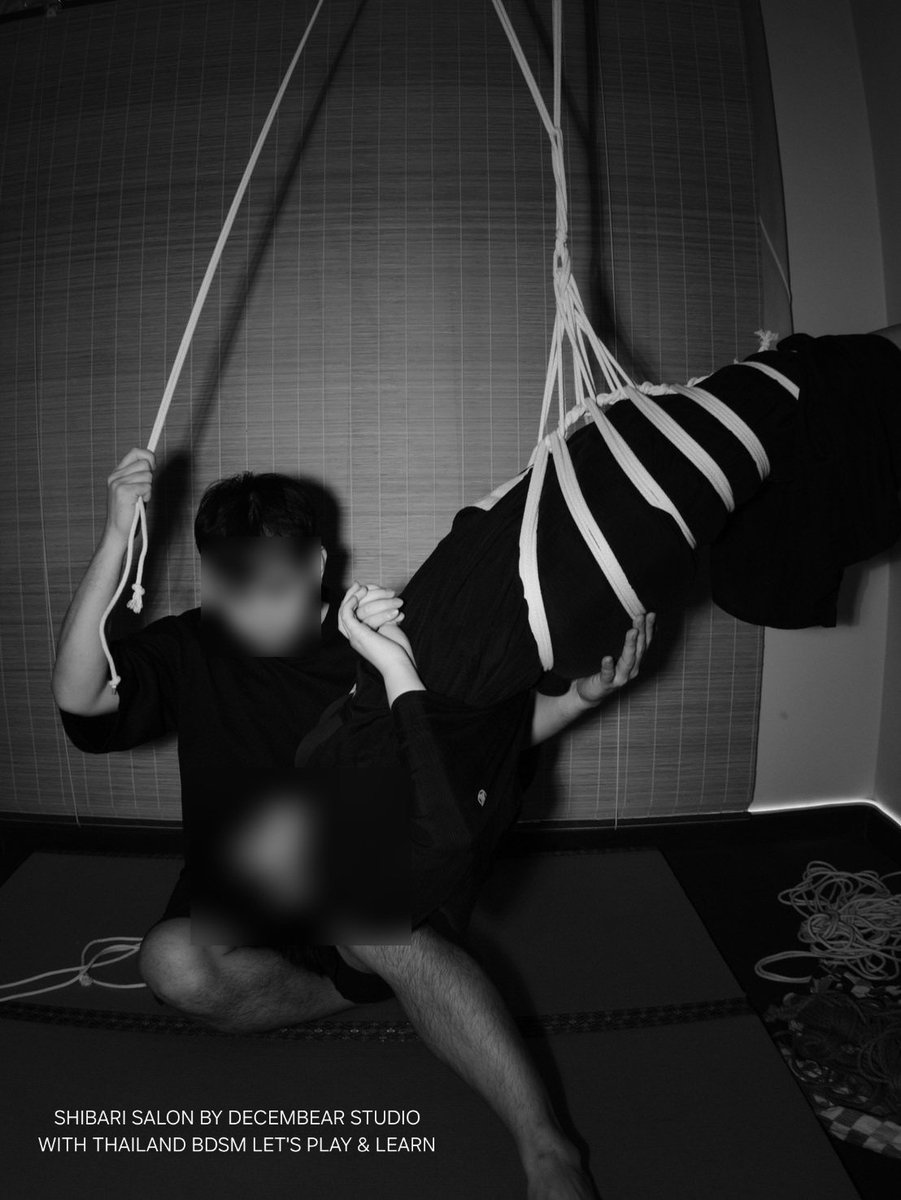 DECEMBEAR STUDIO tweet media