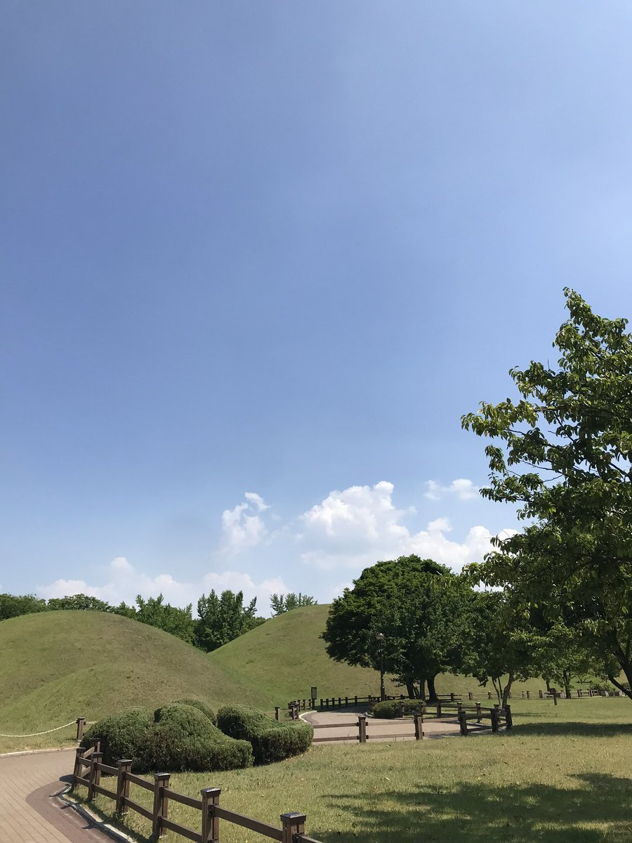 ny0nya_n0ne's tweet image. 추운 날엔 따뜻한 날에 찍은 사진을 보아요...🤤

#pic #korea