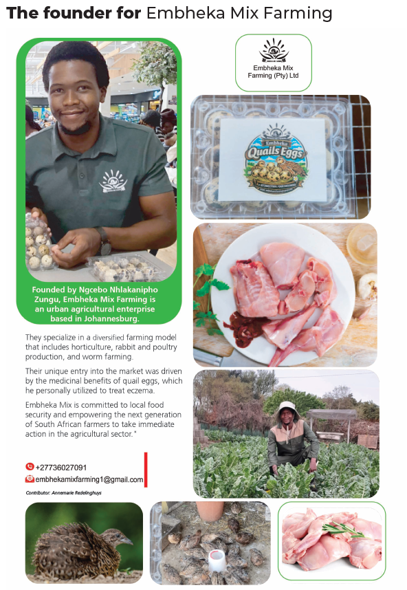 OfficialGDARD's tweet image. From personal healing to community feeding, Ngcebo is redefining urban agriculture in the heart of Johannesburg #GDARDatWork #buylocal