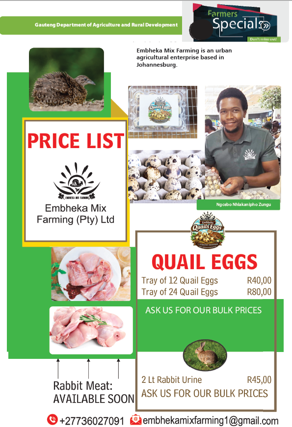 OfficialGDARD's tweet image. From personal healing to community feeding, Ngcebo is redefining urban agriculture in the heart of Johannesburg #GDARDatWork #buylocal