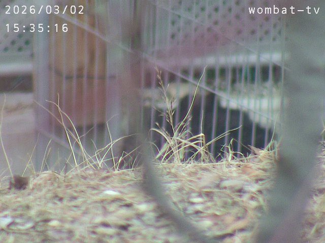 あ、あいだが、好きなのね……！？？
（尊重したい気持ちとあぶないって気持ちと）