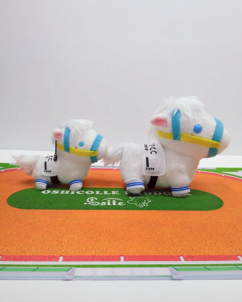 「TCC 広報大使」アオラキ ぬいぐるみ　馬 📣 皆様、大変お待たせしました！ 「TCC 広報大使」 アオラキ