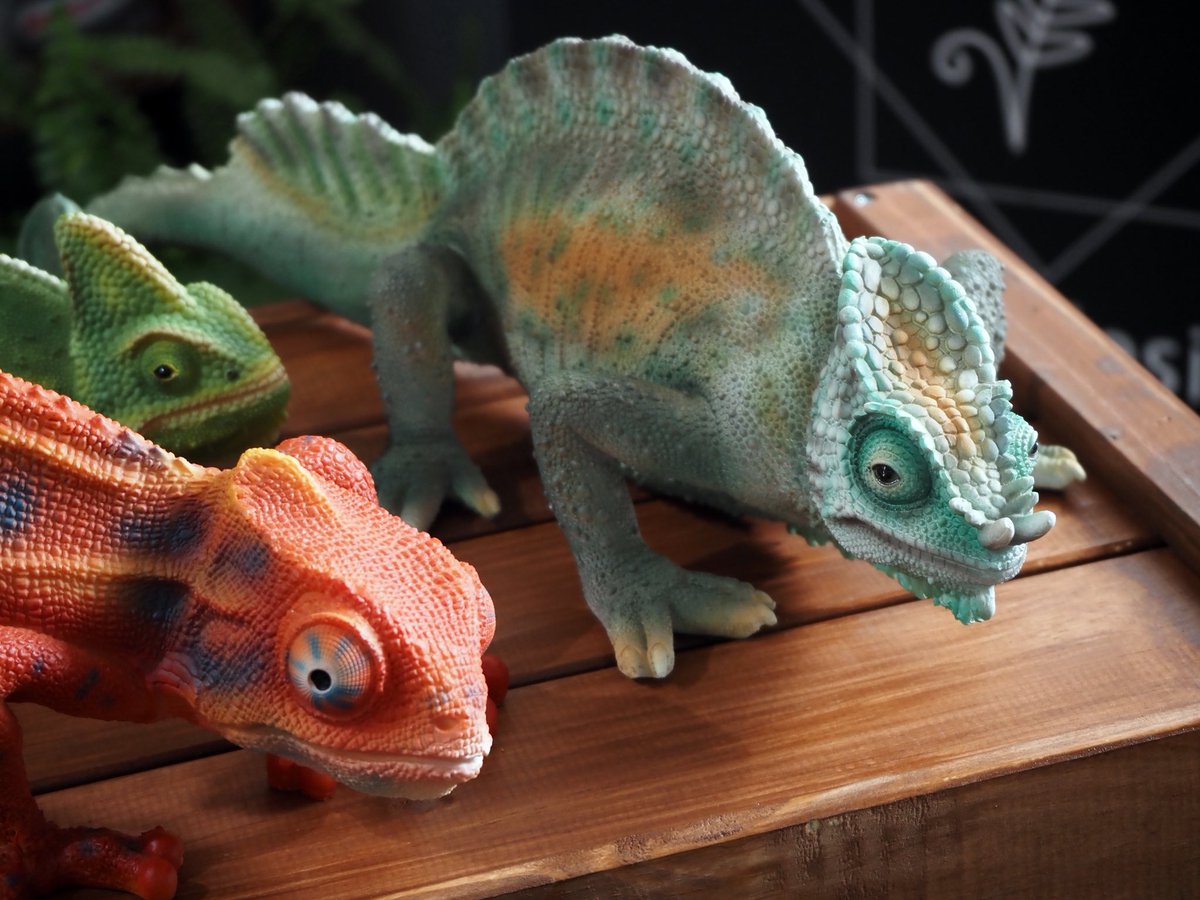 shida design シダデザイン tweet media