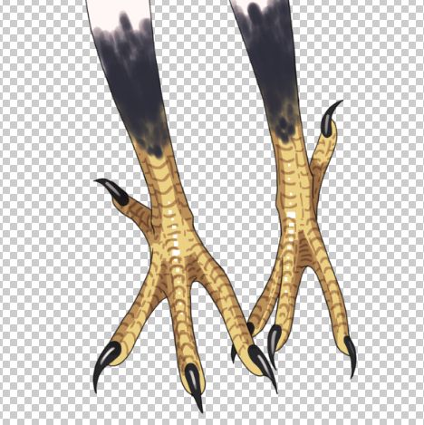 鳥足がかなりかわいくかけたとされる