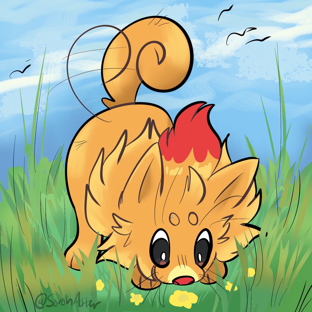 SarahAster's tweet photo. Pombon :3 https://t.co/NMZQyWxBkX