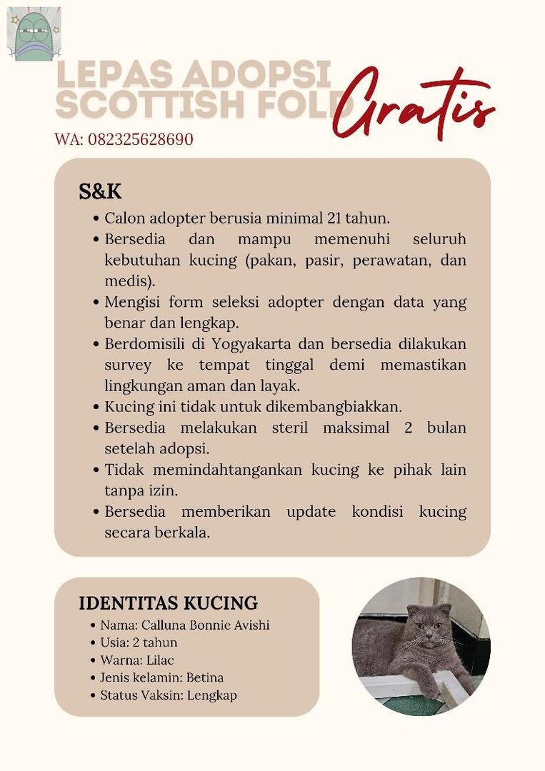 Tanyarlfes tweet media