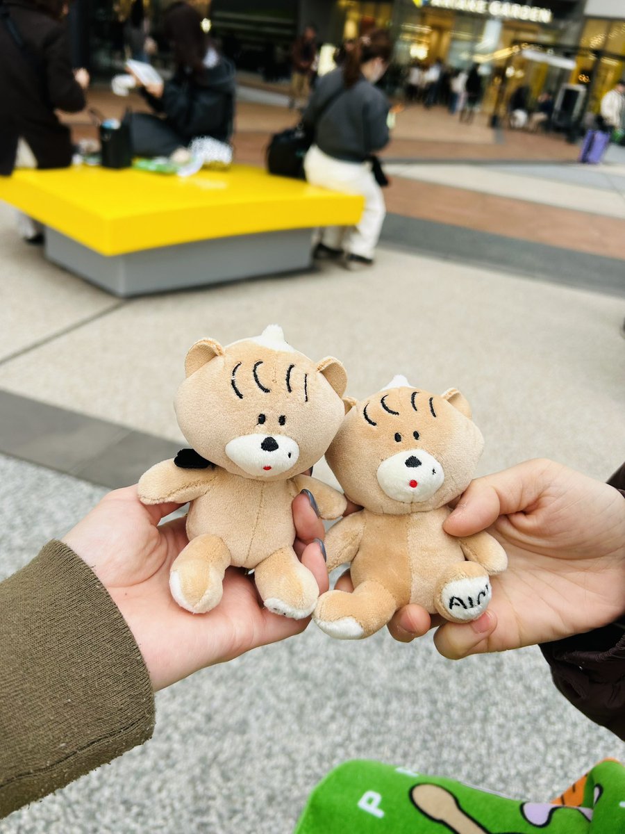 念願の あくまちゃん (⃔⁔•͈ ·̫ •͈⁔)⃕↝😈🧸！！ かわいぃぃぃぃ