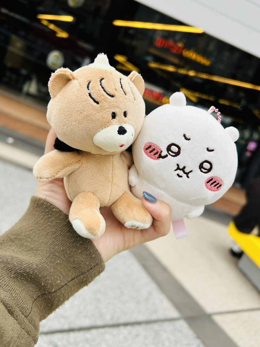 念願の あくまちゃん (⃔⁔•͈ ·̫ •͈⁔)⃕↝😈🧸！！ かわいぃぃぃぃ