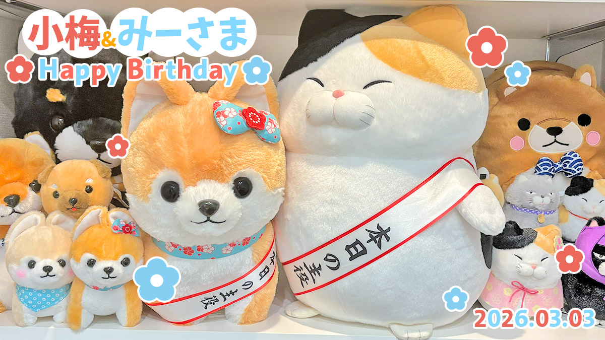 アミューズ AMUFUN【公式】 (@AMUSE_japan) / Posts / X