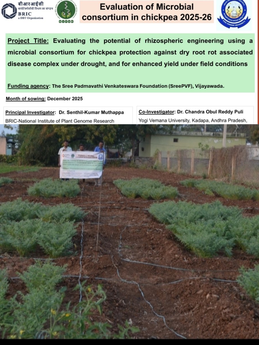 Combined Stresses in Plants_Climate Resilience tweet media