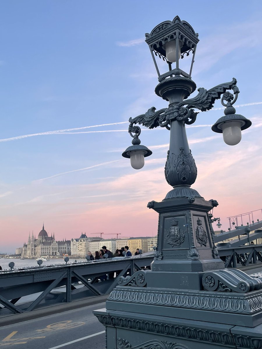 MP 974👨🏽‍🏫🌍⏳🏺🐈🐝✈️🇷🇪🇫🇷 tweet media